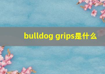 bulldog grips是什么